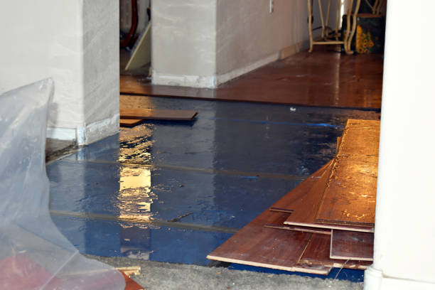 Professional Basement Flooding technician working in Lexington, IL